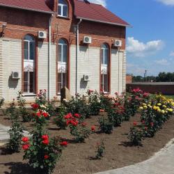 Фото Отель Старая Мельница