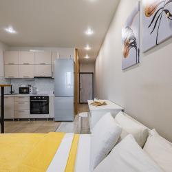 Апартаменты студия Нижний Новгород, Бурнаковская 93