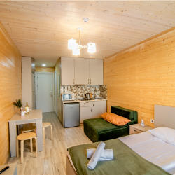 Фото Апартаменты New Gudauri Rooms (Нью Румс)