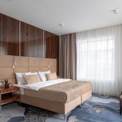 1-комнатные апартаменты люкс для 5 гостей в V hotel