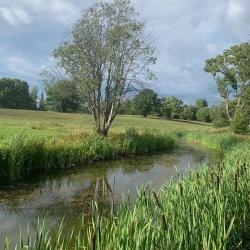 Фото Отель Хутора на озере Алё