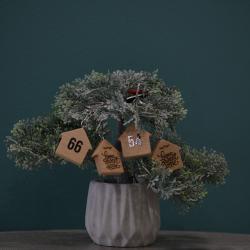 Фото Sweet Home Апарт-отель (Свит Хоум) на улице Бузанда 13