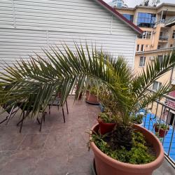 Фото Отель Аэлита