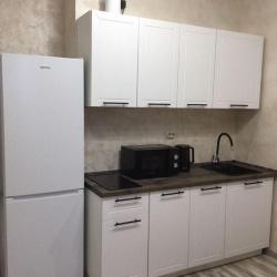 Фото Апартаменты на улице имени Дзержинского 110А корпус 1