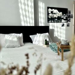 2-комнатные апартаменты стандарт