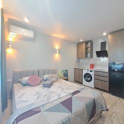 1-комнатные апартаменты студия