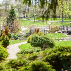 Фото Отель Сосновый бор