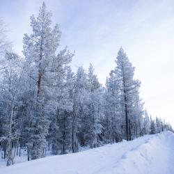 Фото Отель Лапландская деревня