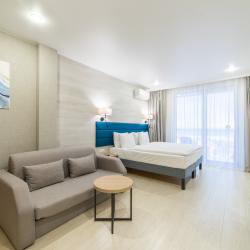 Номер стандарт плюс с 1 двуспальной кроватью