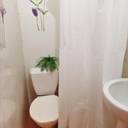 1-комнатные апартаменты студия №1