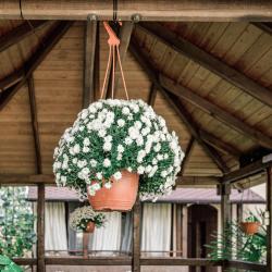 Фото Отель Provence (Прованс)