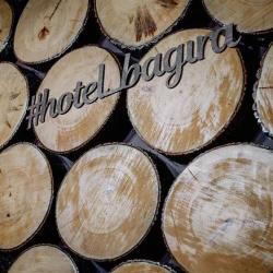 Фото Отель Багира