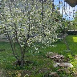 Фото Отель Баня-Дом