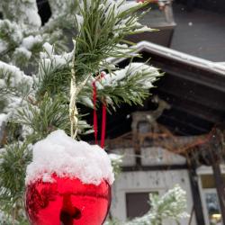 Фото Отель Куршале