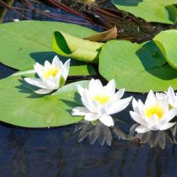 Фото Отель Клевое место