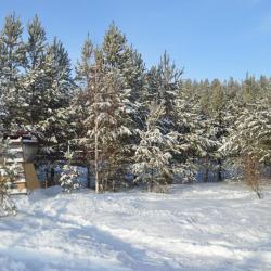 Фото Отель Лесная Усадьба