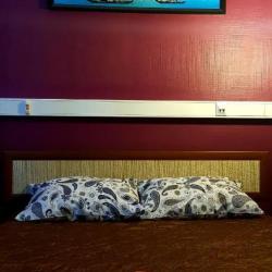 фото 55 TRAVEL INN на Авиамоторной (Трэвел Инн на Авиамоторной)