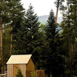 Фото Отель Шишка