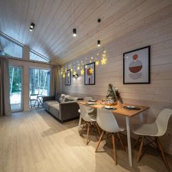 Дом с видом на лес гостиная со спальней (40 кв.м)