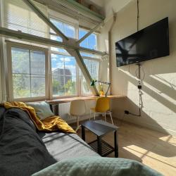 Двухуровневые апартаменты-студия Loft Sunny