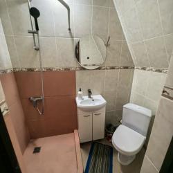 Фото Отель Гостевой дом Пчелка