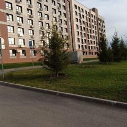 1-комнатные апартаменты студия
