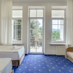 Номер делюкс с балконом