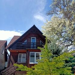 Фото Отель Уютный