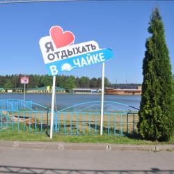 фото 62 Чайка