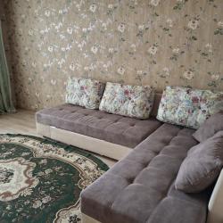 Фото Апартаменты на улице Богомягкова 107