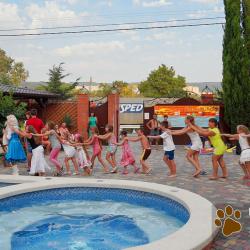 Фото Отель Багира