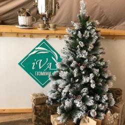 Фото Отель Ива Спа