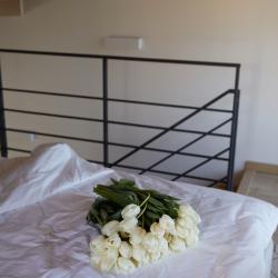 Фото Альпака апарт-отель