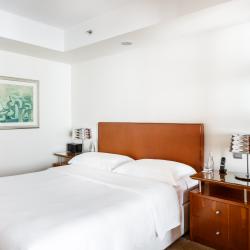 Ararat Park Hotel Moscow (Арарат Парк Хаятт Москва) — 56f465f328d8e41b39b88e862732e7ee