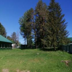 Фото Эко отель Унжа