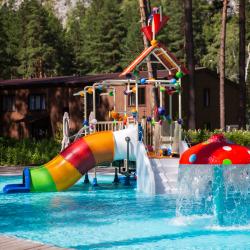 Фото Отель Grand Chalet Altay ZONT Hotel Group (Гранд Шале Алтай)