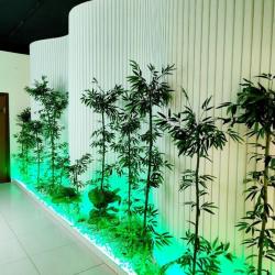 Фото Отель Asem Hotel (Азем)