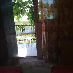 Фото Отель Под пальмой