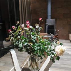 Фото Отель Eco Forrest Club SPA (Эко Форрест Клаб СПА)