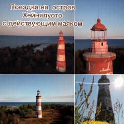 Фото Отель Гостевой комплекс Сосны