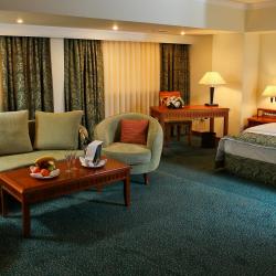 фото 10 Ramada by Wyndham Tashkent (Рамада бу Виндхэм Ташкент)