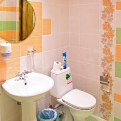 Фото Отель Большая Медведица