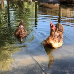 Фото Парк-Отель Березка