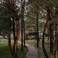 Фото Отель Сосновый рай