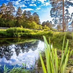 Фото Отель Дом Романтика