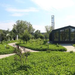 Фото Отель Домвбору.ру