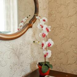 Фото Отель Разгуляй