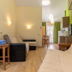 1-комнатные апартаменты люкс с 1 двуспальной кроватью