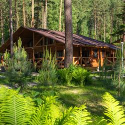 Фото Алтай-парк-отель Подгорица