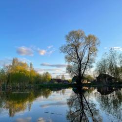 Фото Отель Тишь